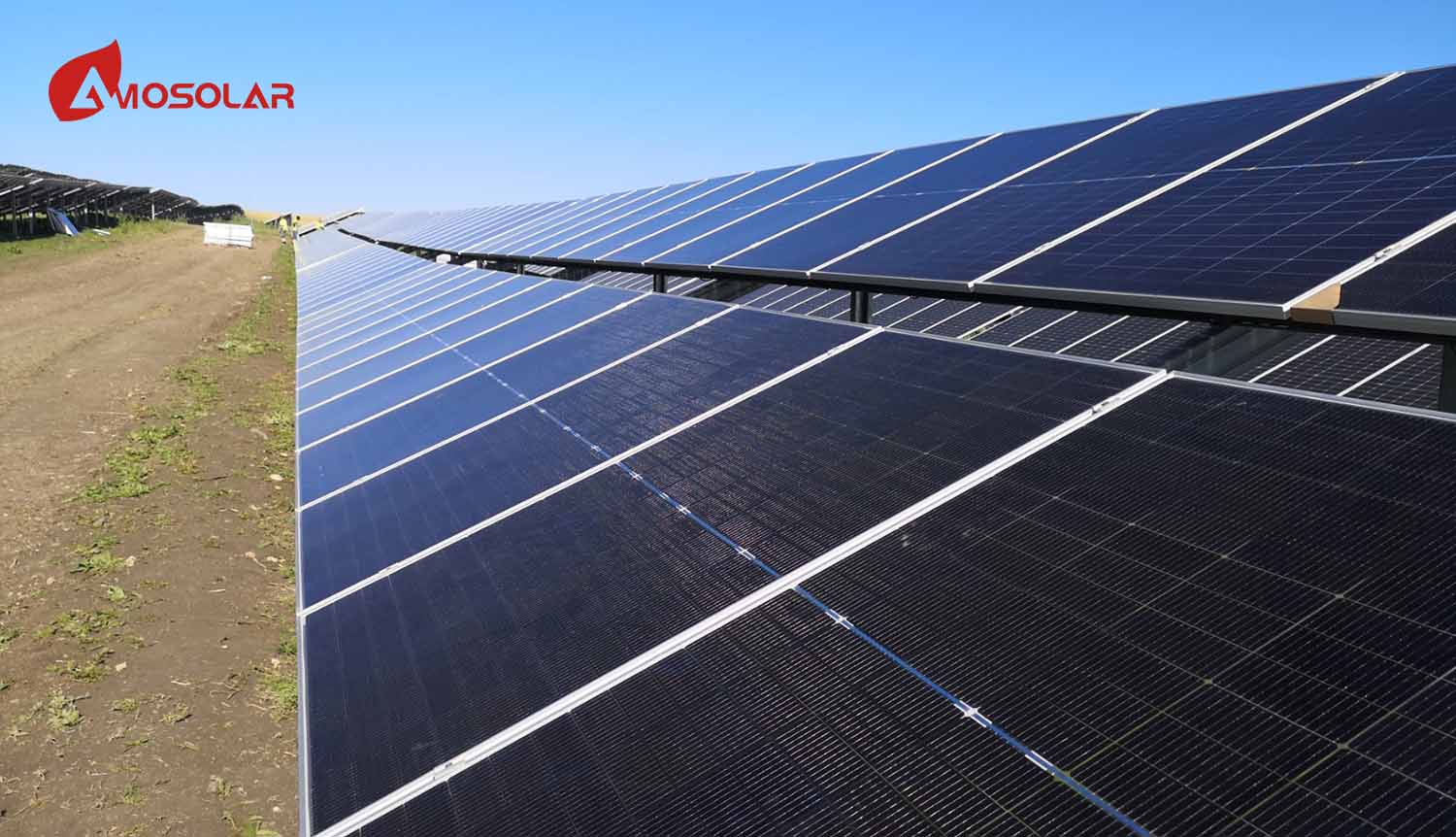solar panels wholesale